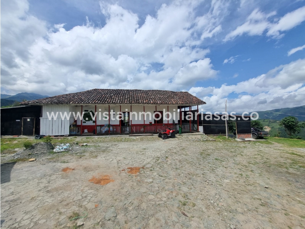 Venta Fincas Sector Salamina, Cadas - 6