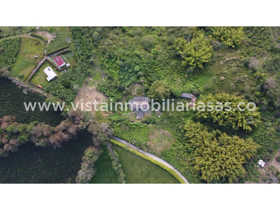 Venta Finca Lisboa, Caldas — foto 3