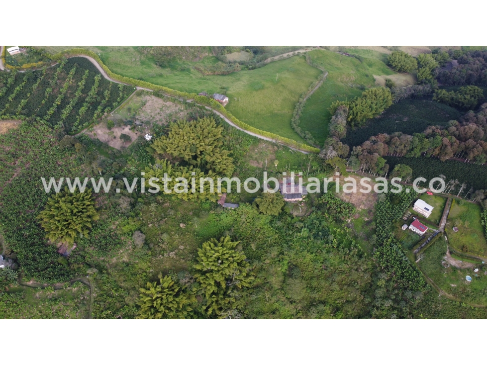 Venta Finca Lisboa, Caldas — foto 2