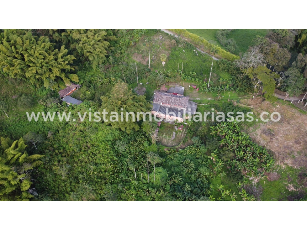 Venta Finca Lisboa, Caldas — foto 5