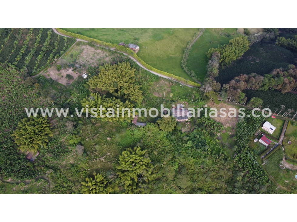 Venta Finca Lisboa, Caldas — foto 6