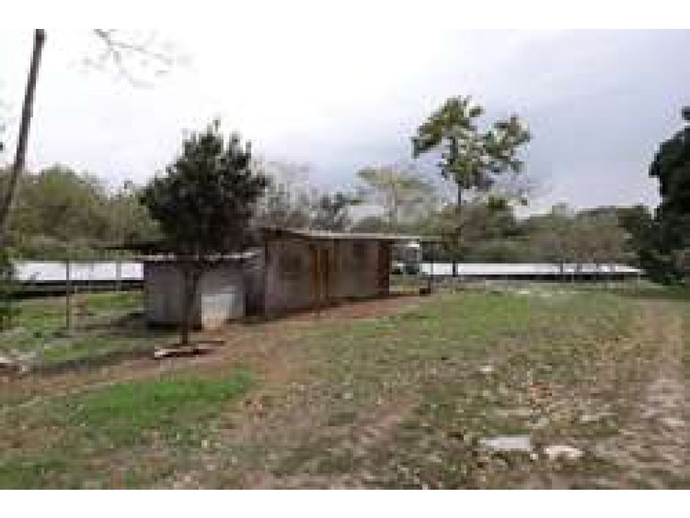 Se vende lote de terreno en Colón - 6