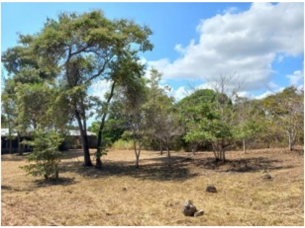 Terreno en venta vía al Valle de Antón, San Carlos