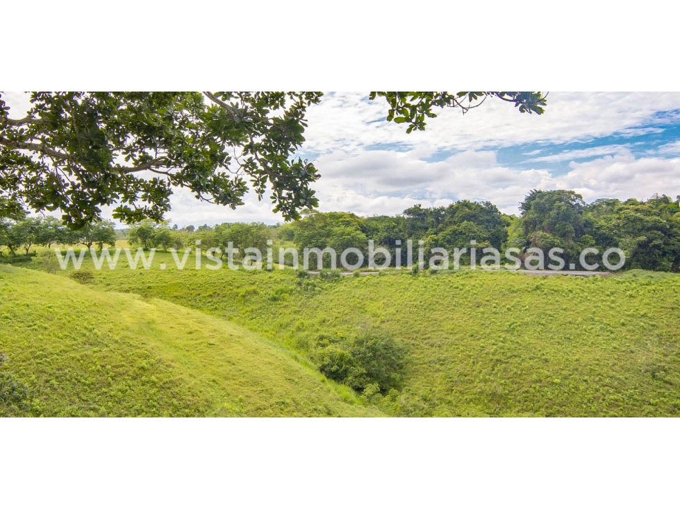 Venta Lote Sector Cerritos, Pereira — foto 2