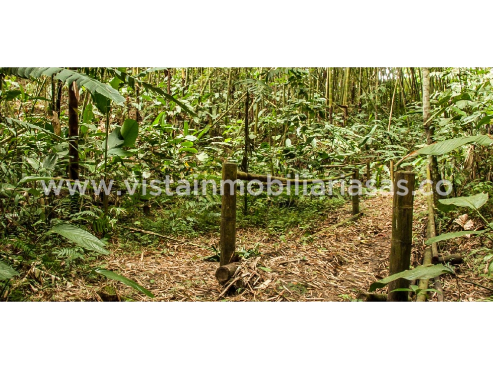 Venta Lote Sector Cerritos, Pereira — foto 4