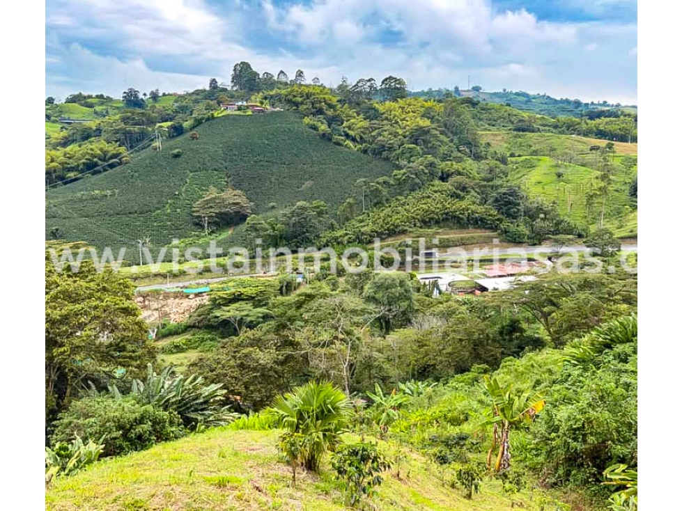 Venta Lote Sector Tarapaca, Risaralda — foto 6