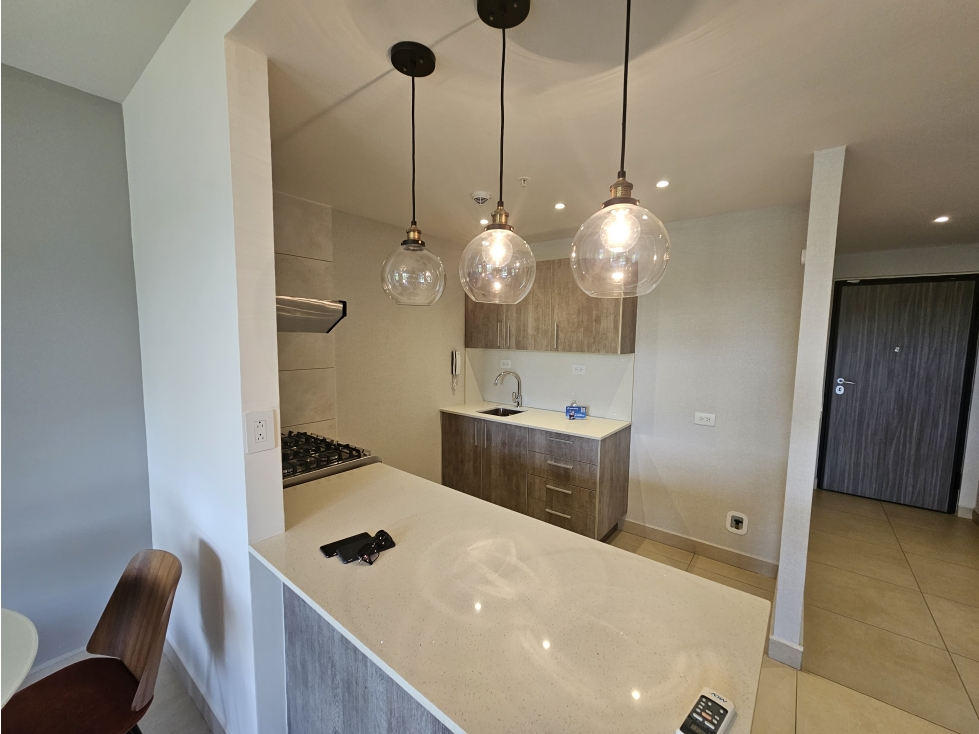 Venta de apartamento en PH Parterre, Panamá Pacífico — foto 3