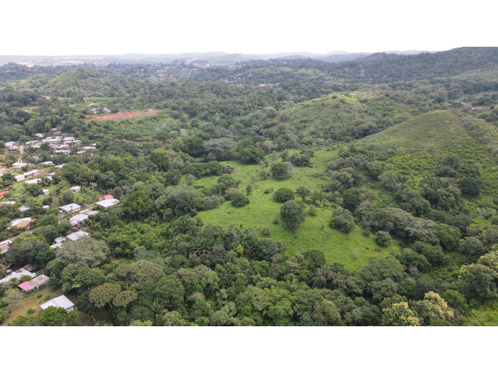 Terreno en venta en San Vicente de Bique, Arraiján - 3
