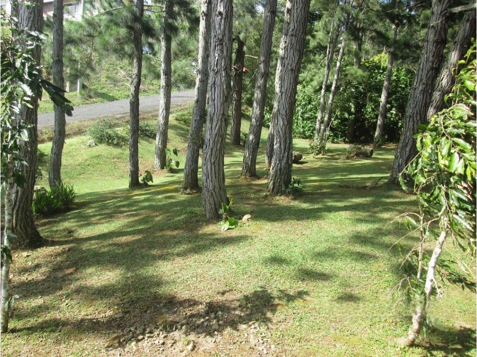 Residencia en Venta en Altos del María — foto 6