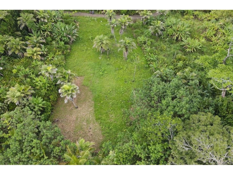 Venta de terreno frente al mar en Bocas del Toro de 2299 m2 - 5