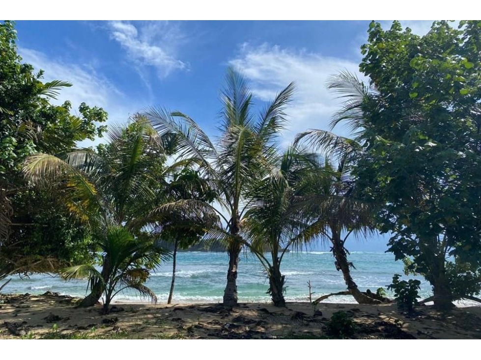 Venta de terreno frente al mar en Bocas del Toro de 2299 m2 - 6