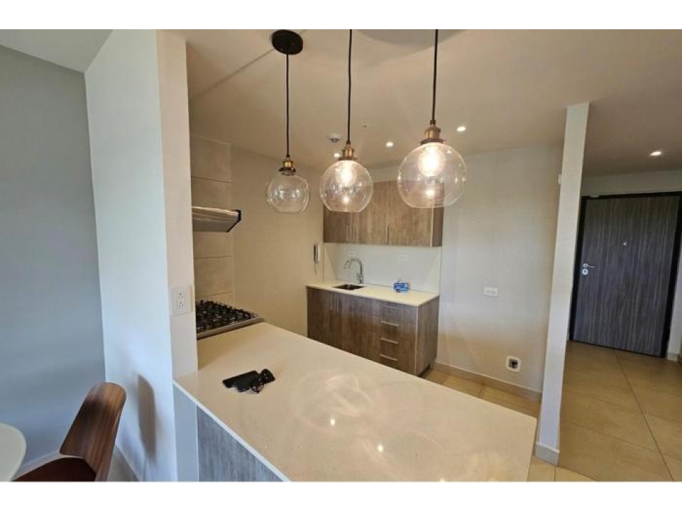 Venta de Apartamento en Ph Parterre, Panamá Pacífico . — foto 5
