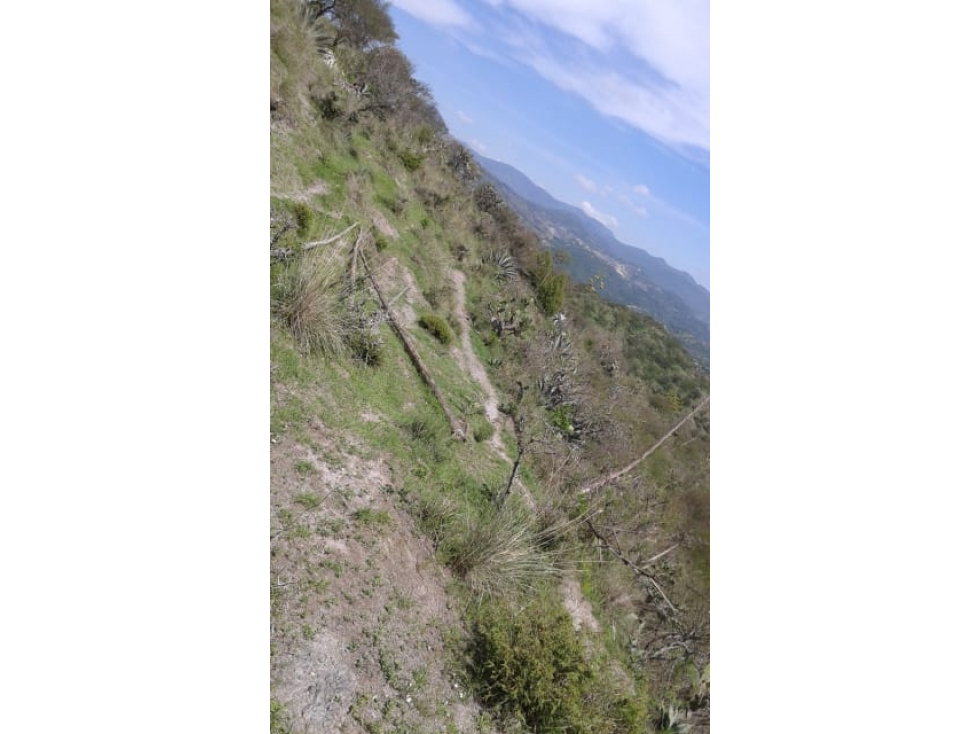 Terreno en Atotonilco el Grande en Venta — foto 4