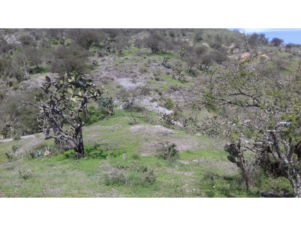 Terreno en Atotonilco el Grande en Venta — foto 5