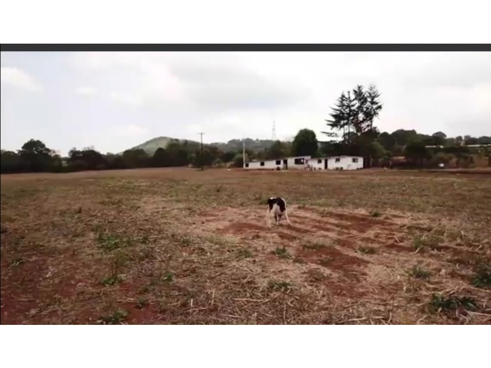 Venta de Terreno en Omitlan La Parcela