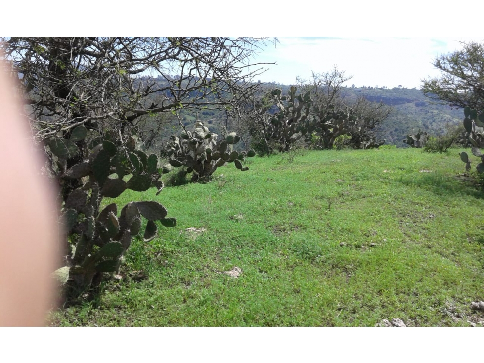 Terreno en Atotonilco el Grande en Venta — foto 6