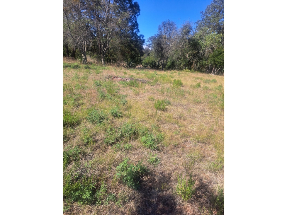Terreno en Venta en Huasca de Ocampo