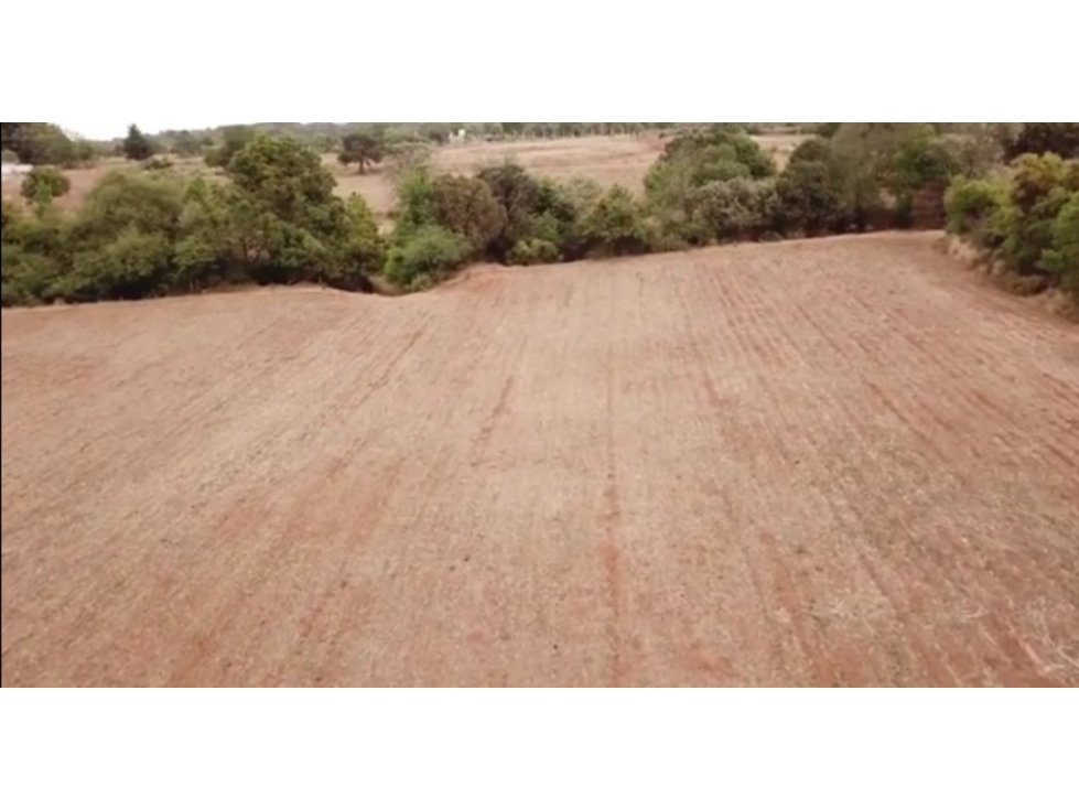 Venta de Terreno en Omitlan La Parcela — foto 5