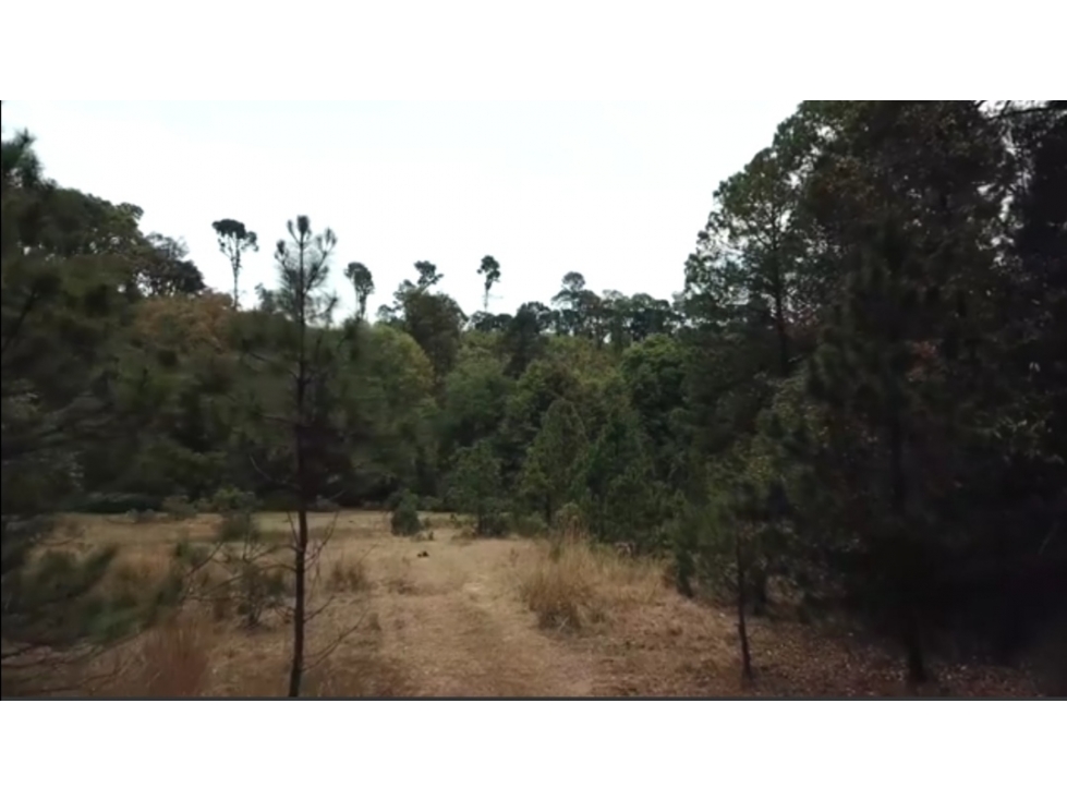 Venta de Terreno en Carboneras, Omitlán de Juárez; Hidalgo — foto 2