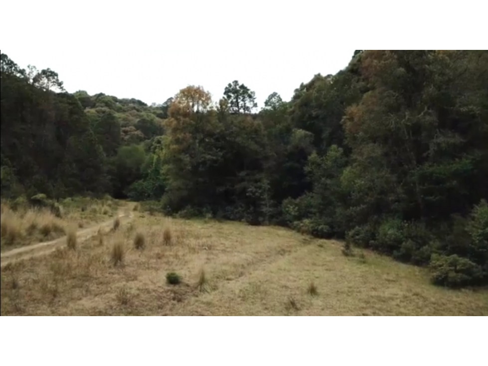 Venta de Terreno en Carboneras, Omitlán de Juárez; Hidalgo — foto 3