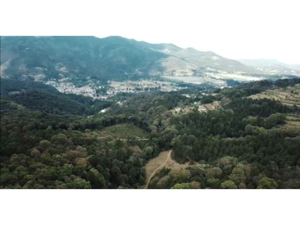 Venta de Terreno en Carboneras, Omitlán de Juárez; Hidalgo — foto 4