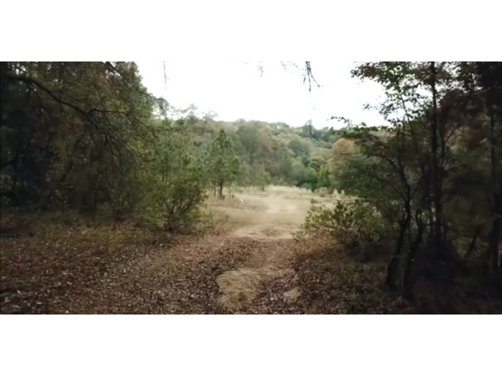 Venta de Terreno en Carboneras, Omitlán de Juárez; Hidalgo — foto 5