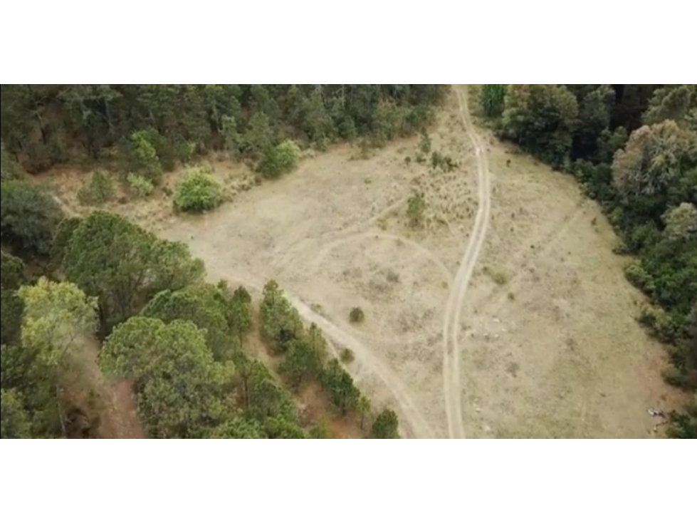 Venta de Terreno en Carboneras, Omitlán de Juárez; Hidalgo — foto 6