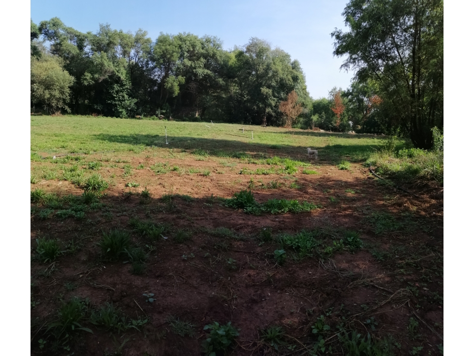 Venta de Terreno a 10 min de Huasca — foto 5