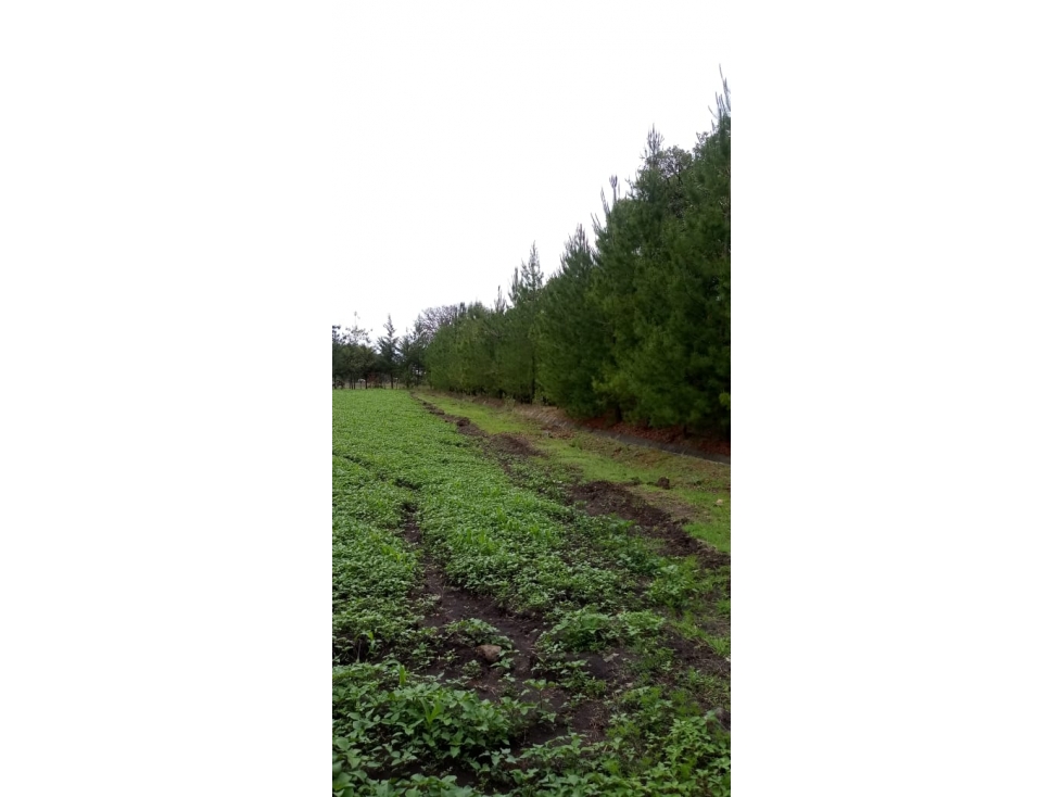 Terreno en venta en Huasca a 5 min de Museo de Duende - 2