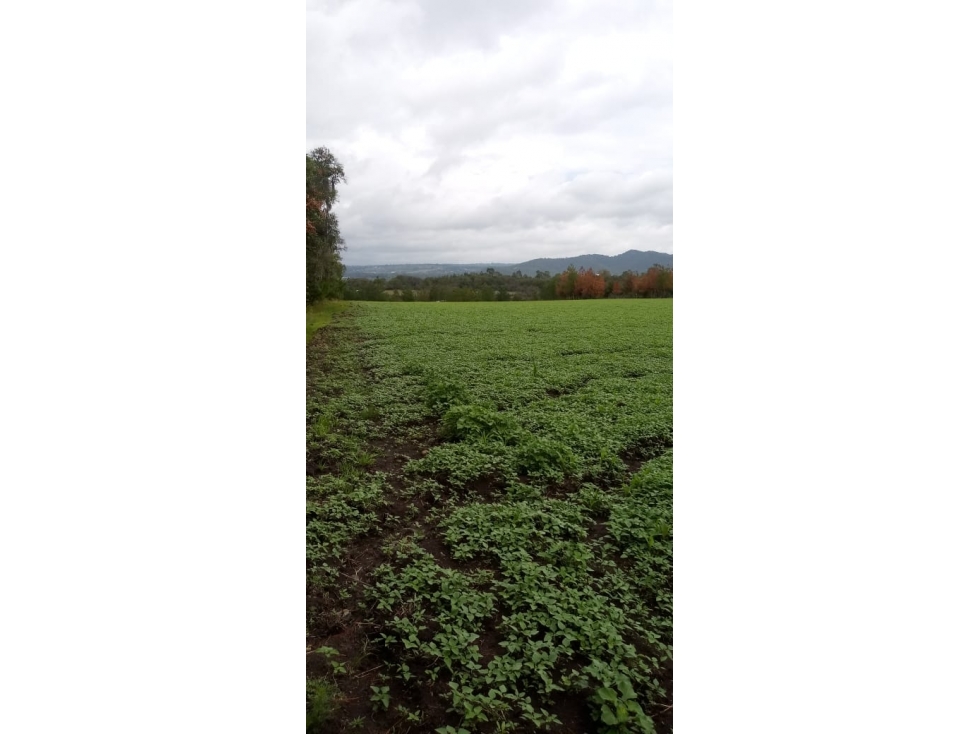 Terreno en venta en Huasca a 5 min de Museo de Duende - 4