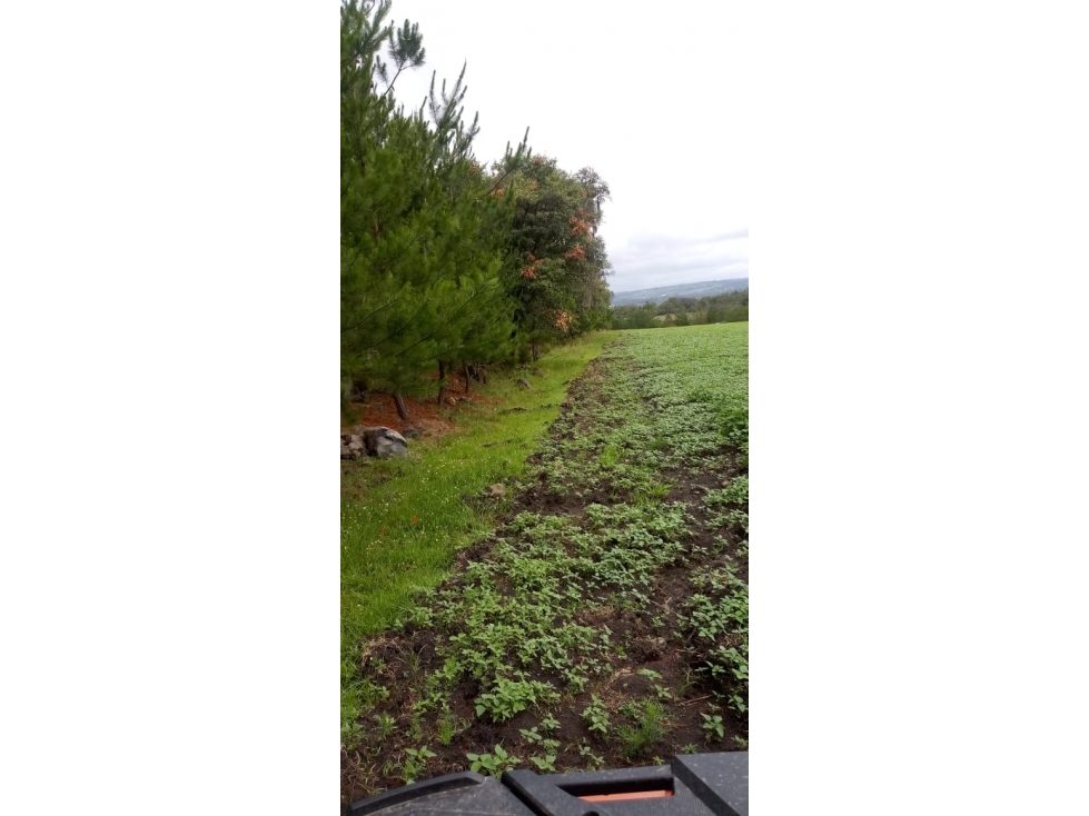 Terreno en venta en Huasca a 5 min de Museo de Duende - 6