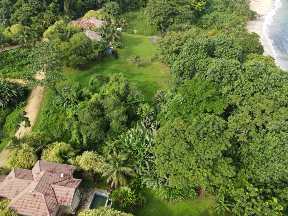 Venta de Lote Frente al Mar en Isla Bastimentos Bocas del Toro - 3