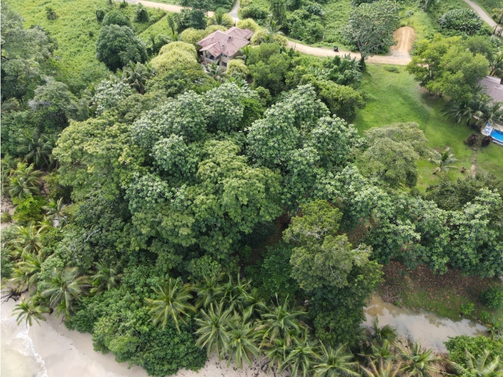 Venta de Lote Frente al Mar en Isla Bastimentos Bocas del Toro - 4