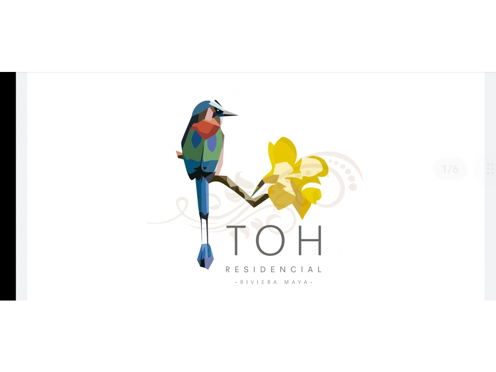Lotes en residencial Toh - 4