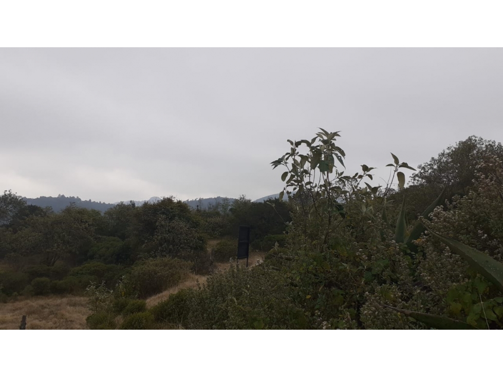 VENTA DE TERRENO EN REAL DEL MONTE - 2