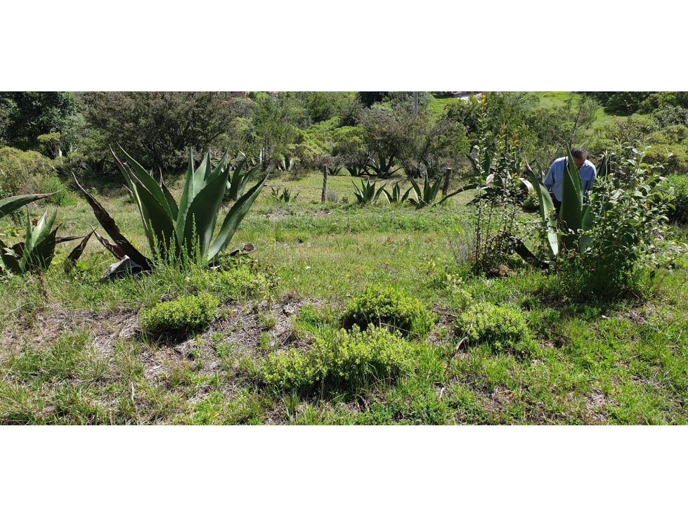 VENTA DE TERRENO EN REAL DEL MONTE - 3