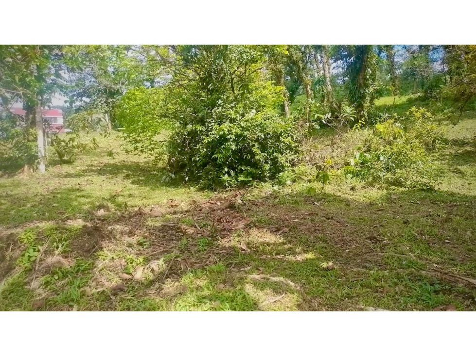 Lote 91 en La Laguna, Altos del María Refugio Natural a Tu Alcance — foto 2
