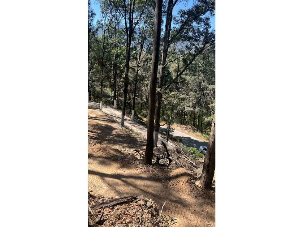 Terreno a cinco minutos de Omitlan — foto 3