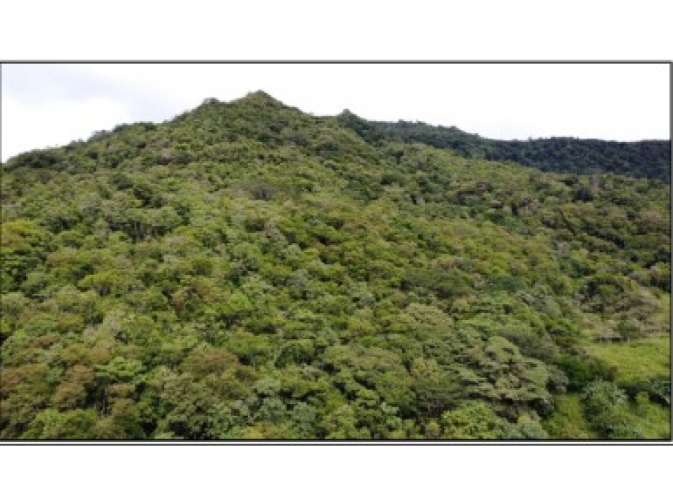 Venta de Terreno en EL Manglarito, Sorá