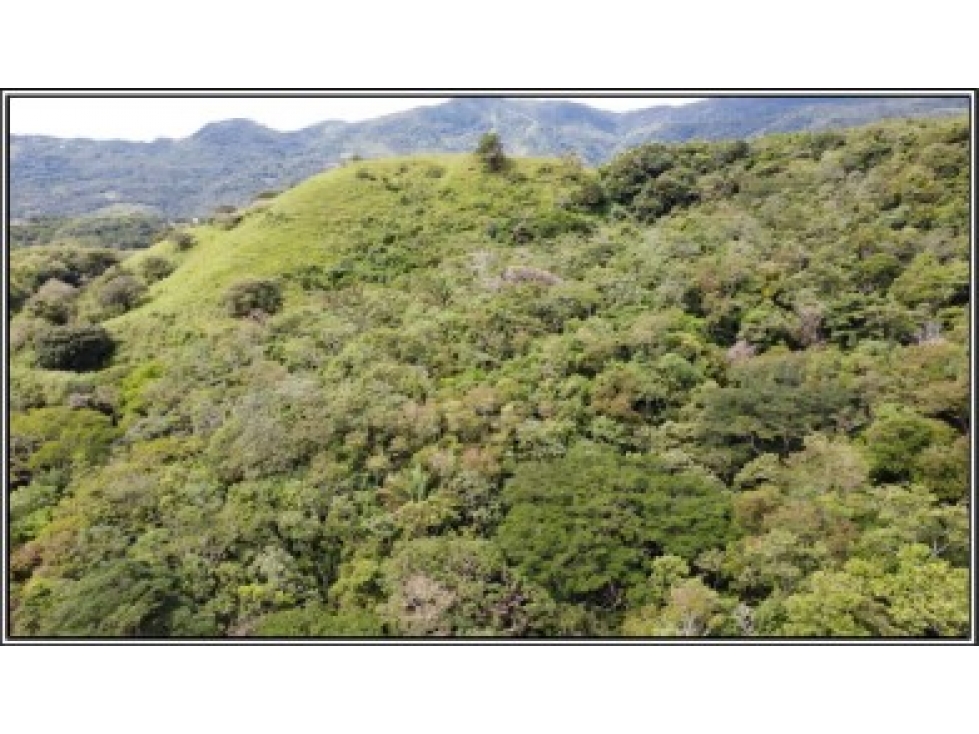 Venta de Terreno en EL Manglarito, Sorá — foto 5