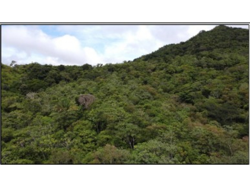 Venta de Terreno en EL Manglarito, Sorá — foto 6