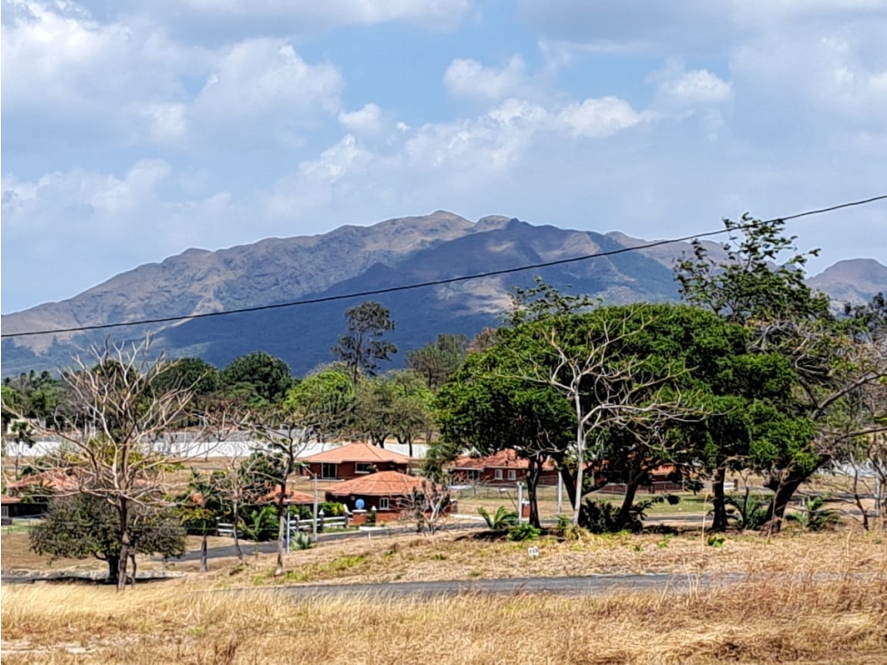 Venta de Terreno en LA COLONIA, El Celaje, Chame — foto 5
