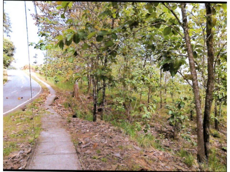 Venta de terreno en Vista Bella - 4