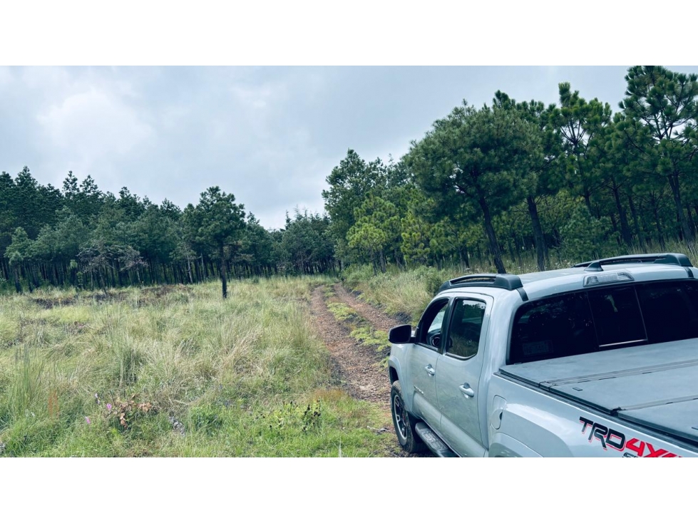 TERRENO EN VENTA 19 HECTAREAS EN TULANCINGO - 3
