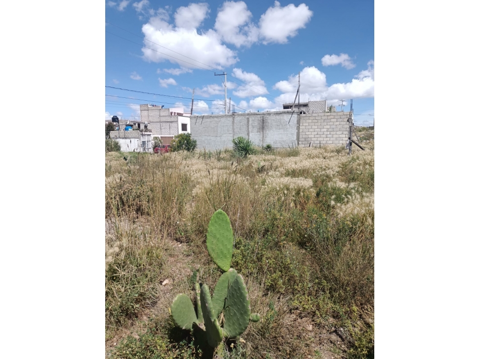 "TERRENO/LOTE EN VENTA" La Palma Matilde — foto 4