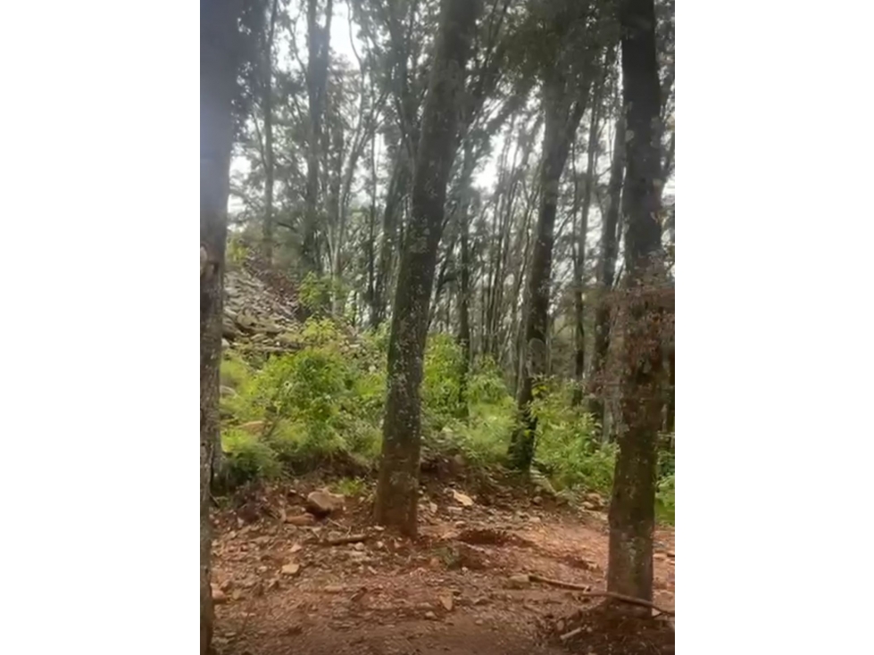 Terreno en Omitlan de Juárez — foto 4