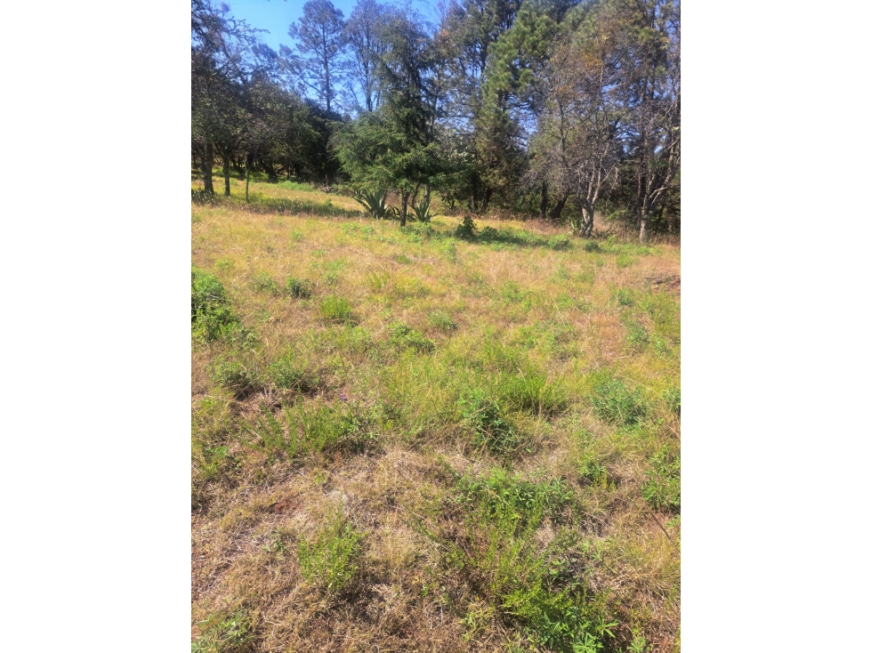 Terreno en Venta en Huasca de Ocampo — foto 2