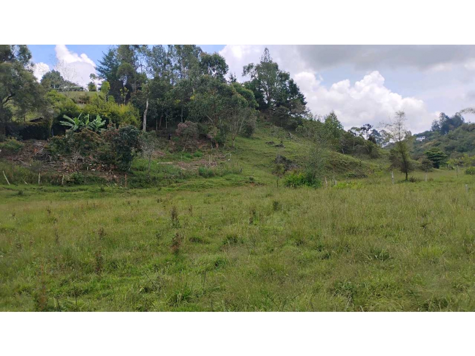 [RA] FINCA EN VENTA SAN VICENTE VEREDA CHAPARRAL SOLO CONTADO — foto 5
