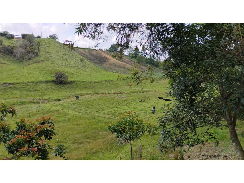 [RA] FINCA EN VENTA SAN VICENTE VEREDA CHAPARRAL SOLO CONTADO — foto 6