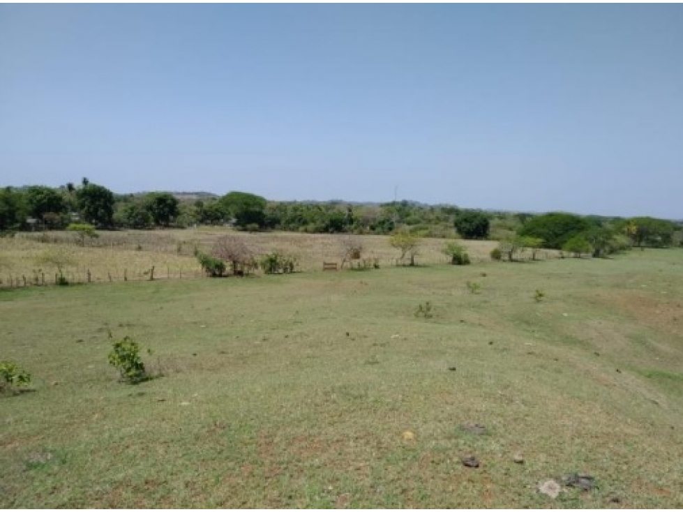 Venta de finca en Pesé, Herrera - 1